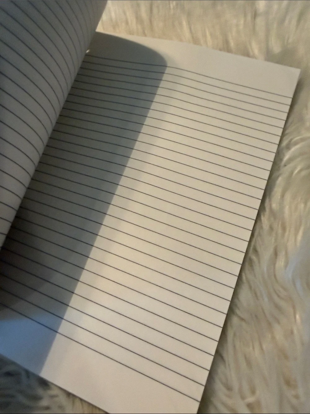 Bratz Spiral Notebook